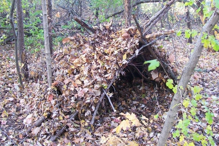 Стройка шалаша в лесу